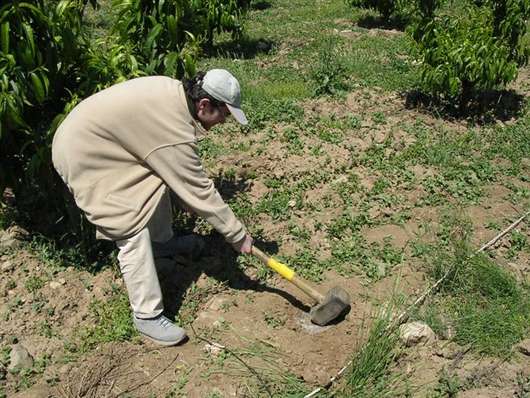 2004 Jeofizikte Ölçmeler Dersi Arazi Çalışmaları