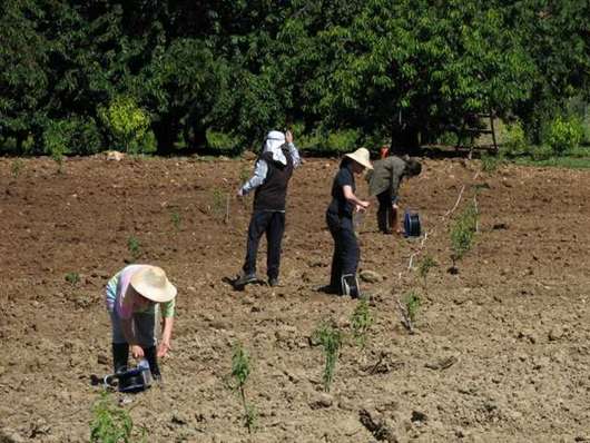 2007 Jeofizikte Ölçmeler Dersi Arazi Çalışmaları